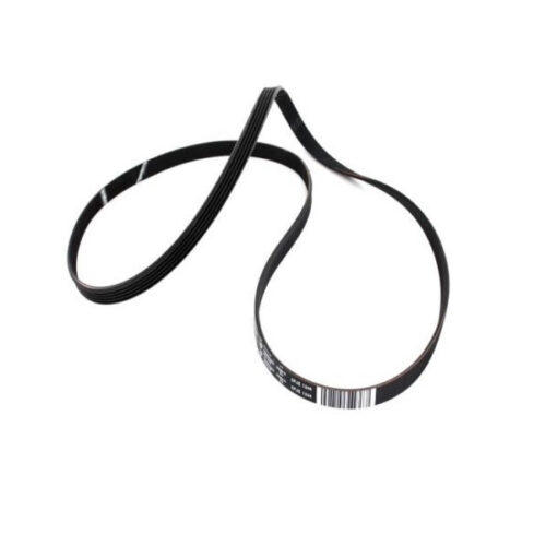 1244J5EL CUREA ELASTICA POLI-V OPTIBELT – Original