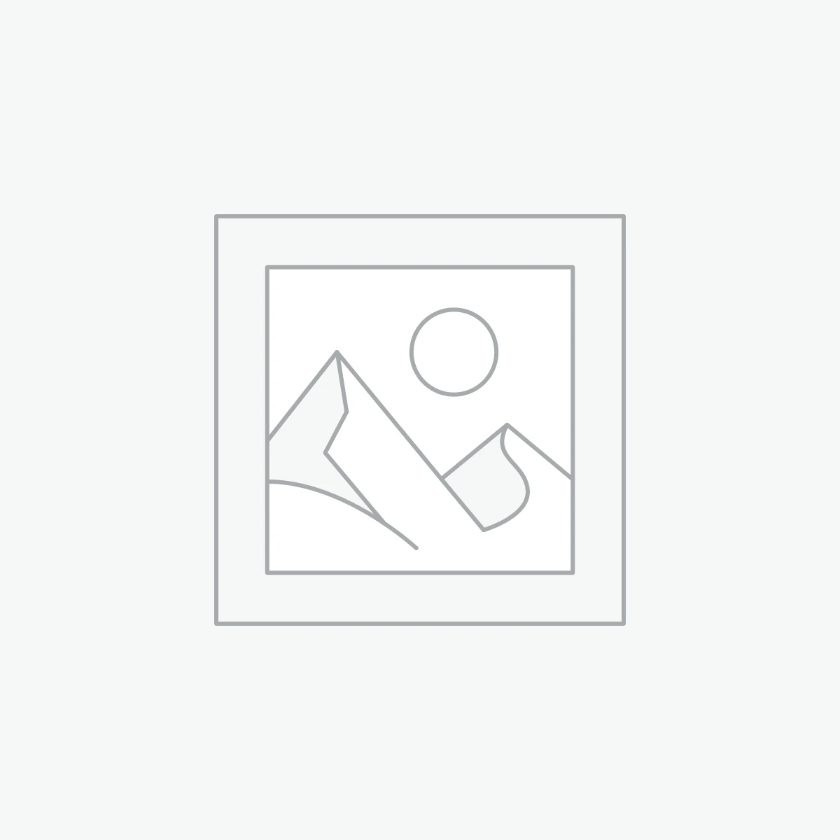 Filtre aspirator Rowenta – Original